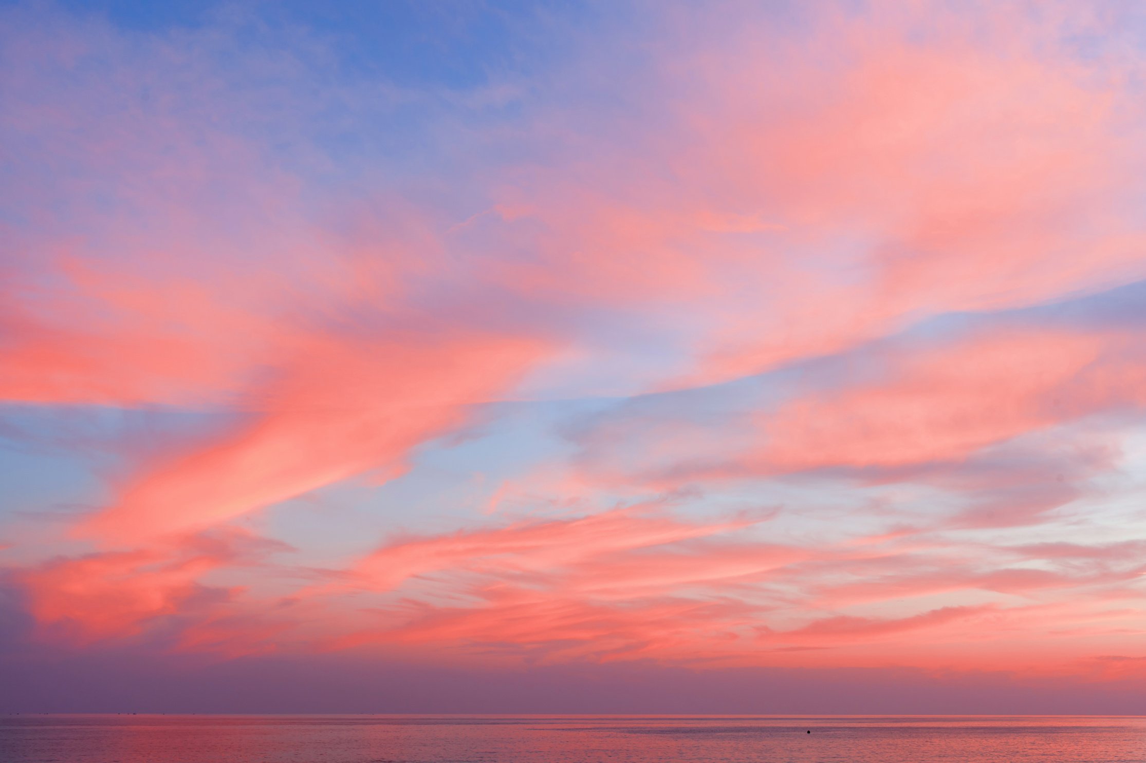  Blue-Pink Sky with Clouds at Sunset